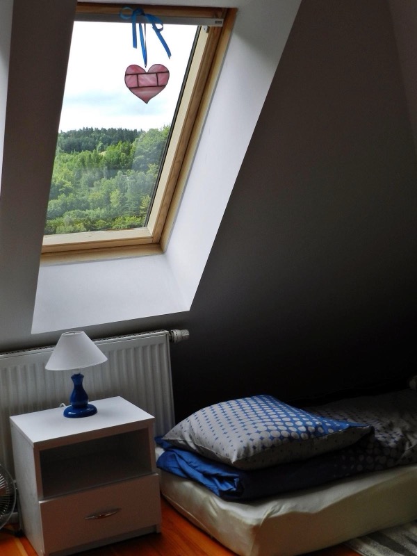 Zdjęcie Lawendowej Facjaty