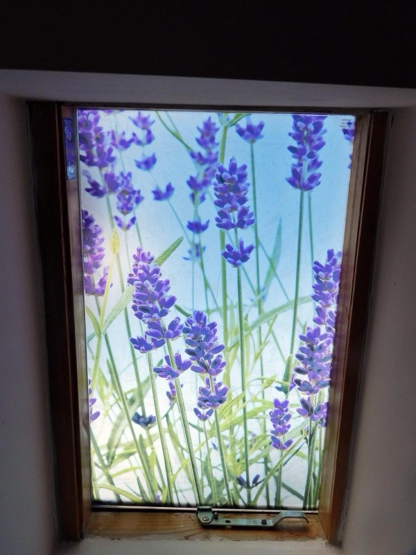 Zdjęcie apartamentu piaskowego 1