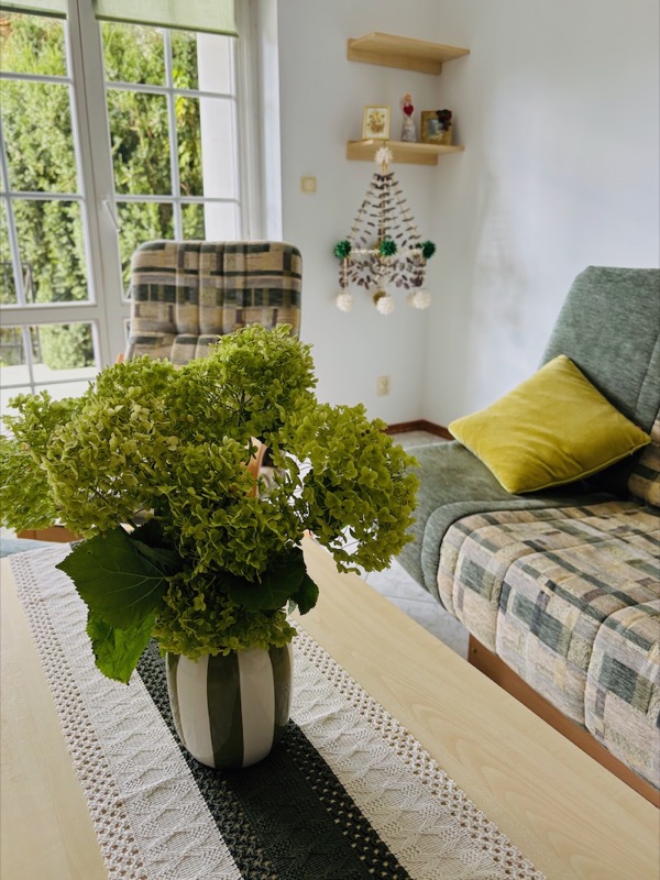 Zdjęcie apartamentu na facjacie 1